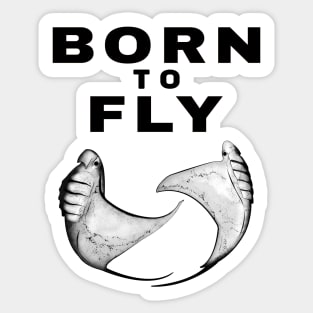 Born to Fly Sticker